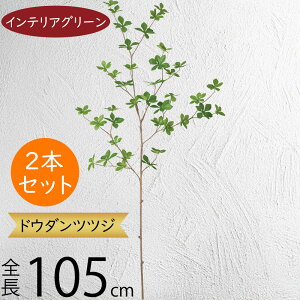 hE_ccW tFCNO[ ^  ϗtA A lC CeAO[  lHϗtA lH  A[gvc A[gO[ CeA  fBX