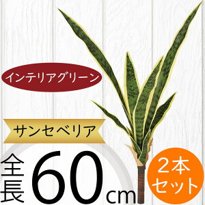 TZxA TXxA A  tFCNO[ lC CeAO[ A lHϗtA lH  A[gvc A[gO[ CeA IuWF Ƌ t