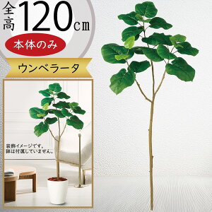 Ex[^ tFCNO[ ^  ϗtA A lC CeAO[  lHϗtA lH  A[gvc A[gO[ CeA  fBXv