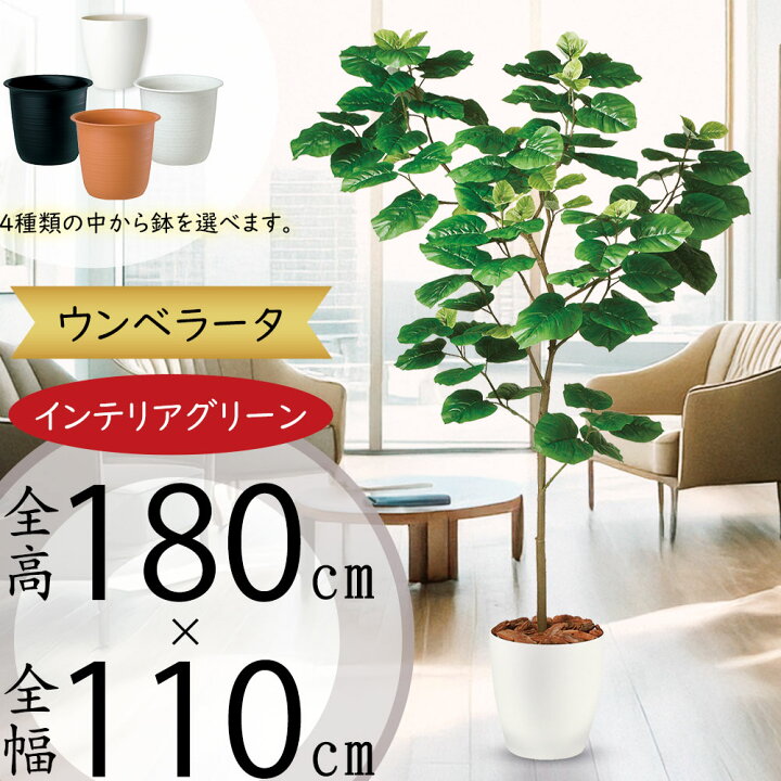 楽天市場】フェイクグリーン 大型 おしゃれ 観葉植物 ウンベラータ 