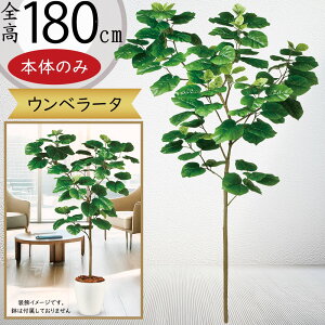 Ex[^ tFCNO[ ^  ϗtA A lC CeAO[  lHϗtA   A[gvc A[gO[ CeA  fBXvC