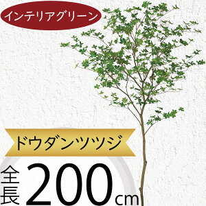 hE_ccW tFCNO[ ^  ϗtA A lC CeAO[  lHϗtA lH  A[gvc A[gO[ CeA  fBX