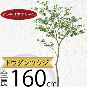 hE_ccW tFCNO[ ^  ϗtA A lC CeAO[  lHϗtA lH  A[gvc A[gO[ CeA  fBX