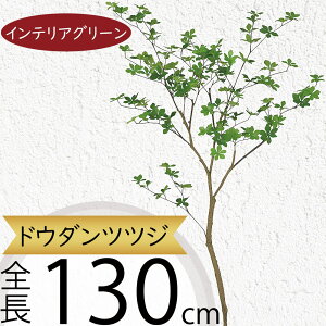 hE_ccW tFCNO[ ^  ϗtA A lC CeAO[  lHϗtA lH  A[gvc A[gO[ CeA  fBX