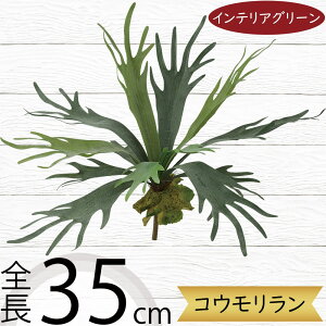 tFCNO[ rJNV_ RE X^bOz[  lC A  CeAO[ lHϗtA lH IuWF  CeA A[gO[ ϗtA 