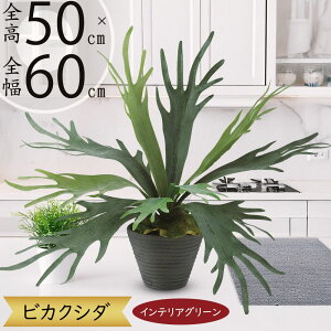 tFCNO[ rJNV_ RE X^bOz[  lC A  CeAO[ lHϗtA lH IuWF  CeA A[gO[ ϗtA 