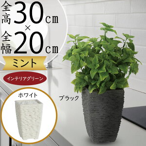 tFCNO[  lC A  CeAO[ lHϗtA   CeA IuWF A[gO[ {   t i` e[u 