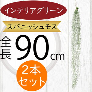 XpjbVX CeAO[ ^  lC tFCNO[ GA[vc GAvc A lHϗtA A[gvc  A[gO[ t IuWF Ƌ t