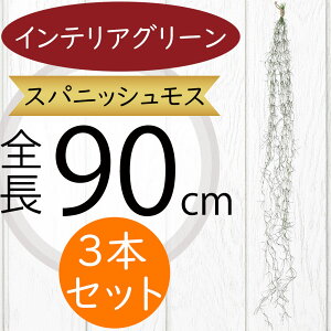 XpjbVX CeAO[ ^  lC tFCNO[ GA[vc GAvc A lHϗtA A[gvc  A[gO[ t IuWF Ƌ t