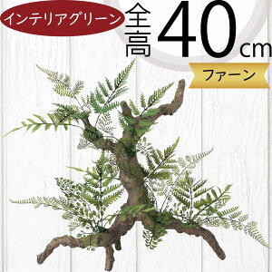 } CeA tFCNO[  lC CeAO[ A  lHϗtA ԍ ϗtA A[gvc t[AWg fBXvC  G Ƌ }