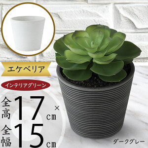 GPxA A tFCNO[  lC A  CeAO[ lHϗtA lH  CeA IuWF A[gO[ t Mtg v[g G