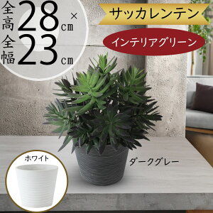 tFCNO[  lC  A CeAO[ A TbJe  ϗtA lHϗtA lH  IuWF CeA t Vzj JXj M