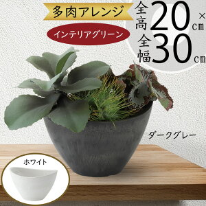 tFCNO[ A  lC  A CeAO[ lHϗt  lH ϗtA A[gO[ t CeA IuWF   ItBX X 