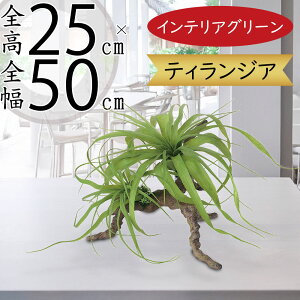 `WA eBWA GAvc  lC A tFCNO[ CeAO[ ϗtA  lHϗtA IuWF CeA GA[vc A[eBtBV