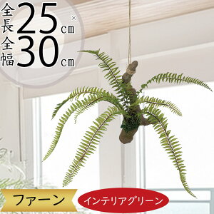 nMO  tFCNO[ lC  A CeAO[ ϗtA lHϗtA  CeA A[gO[  t ݂邷 ݂邵 ݂邹 ݂艺 | 