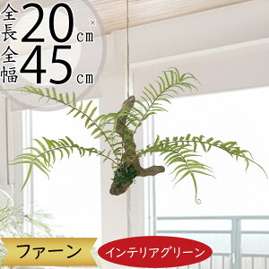 nMO  tFCNO[ lC  A CeAO[ ϗtA lHϗtA  CeA A[gO[  t ݂邷 ݂邵 ݂邹 ݂艺 | 