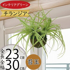 nMO  tFCNO[ lC  A CeAO[ ϗtA  lHϗt  CeA A[gO[ ݂邷 ݂邵 ݂邹 ݂艺 V  