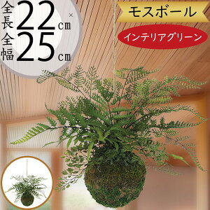 nMO  tFCNO[ lC  A CeAO[ ϗtA  t lHϗt  CeA A[gO[ ݂邷 ݂邵 ݂邹 ݂艺 ݉ |