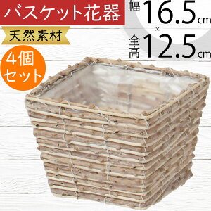 t[x[X oXPbg Ԋ  lC ԓ CeA IuWF G Ƌ  JS   u e VRf Rf |pi 񂹐A i` Mtg v[