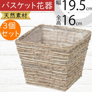 t[x[X oXPbg Ԋ  lC ԓ CeA IuWF G Ƌ  JS   u e VRf Rf |pi 񂹐A i` Mtg v[