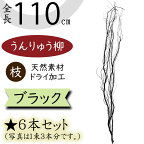 【ドライフラワー】うんりゅう柳 雲竜柳 おしゃれ 枝 ブラック 黒 全長110cm 6本セット 1束3本×2束 ウンリュウヤナギ 天然素材 自然素材 ドライ素材 枝物 枝もの ブランチ 人気 インテリアグリーン 観葉植物 インテリア フラワーアレンジメント ディスプレイ k-75717