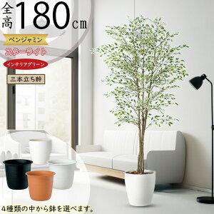 tFCNO[ ^  lC xW~ tBJX xW~i CeAO[ ϗtA A lHϗtA  lH A[gvc A[gO[ CeA I