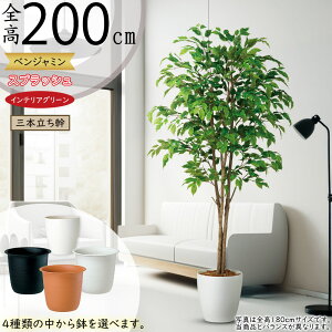 tFCNO[ ^  lC xW~ tBJX xW~i CeAO[ ϗtA A lHϗtA  lH A[gvc A[gO[ CeA I