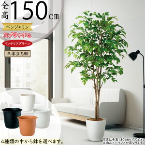 tFCNO[ ^  lC xW~ tBJX xW~i CeAO[ ϗtA A lHϗtA  lH A[gvc A[gO[ CeA I