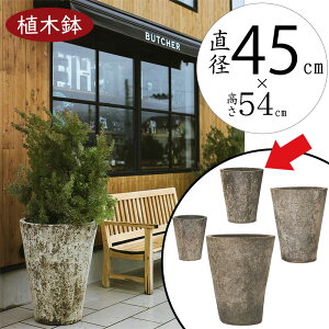 Aؔ ^  lC v^[  | ϗt 픫 ϗtA |pi [ |bg K[fjO A 񂹐A  eX oRj[ AeB[Ndグ Jo[ 