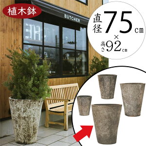 Aؔ ^  lC v^[  | ϗt 픫 ϗtA |pi [ |bg K[fjO A 񂹐A  eX oRj[ AeB[Ndグ Jo[ 