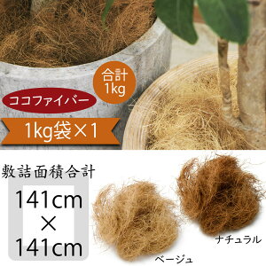 RRt@Co[  lC  RRV@ VRV VRf }`O X^CO |pi K[fjOpi ~lߗpi K[fjO ϗtA CeAO[ 