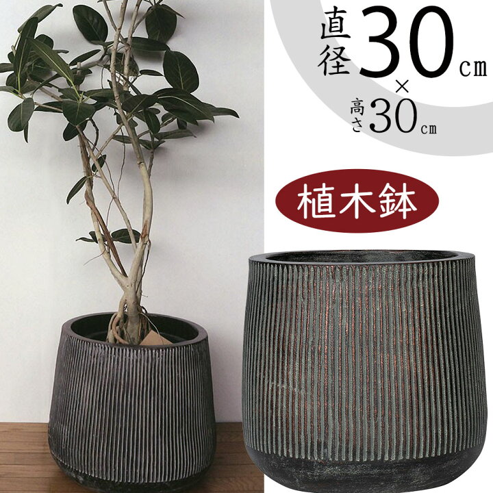 陶器鉢のみ｜その他観葉植物