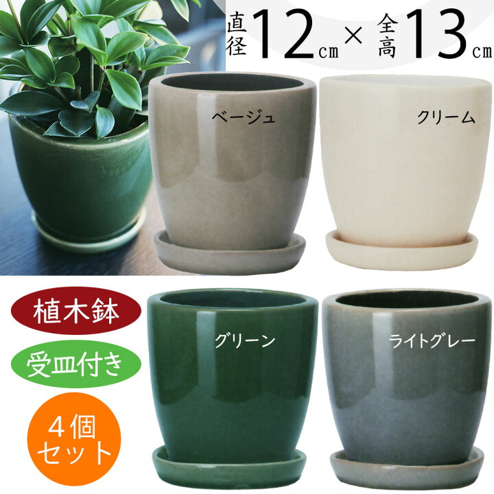楽天市場】植木鉢 受け皿付き おしゃれ 人気 プランター ミニ観葉 観葉  
