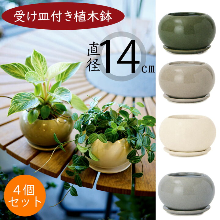 楽天市場】植木鉢 受け皿付き おしゃれ 人気 プランター ミニ観葉 観葉 