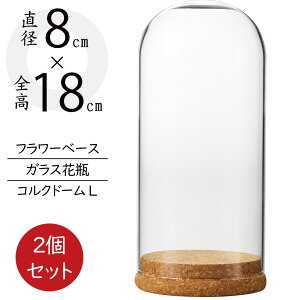 h[KX KXh[  t[x[X lC  ԕr Ԋ h[OX CeA IuWF Ƌ P[X Jo[ G  NA ԓ t[AWg fB