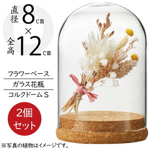 ドームガラス ガラスドーム おしゃれ フラワーベース 人気 おすすめ 花瓶 花器 ドームグラス インテリア オブジェ 家具 ケース カバー 雑貨 透明 クリア 花入れ フラワーアレンジメント ディ
