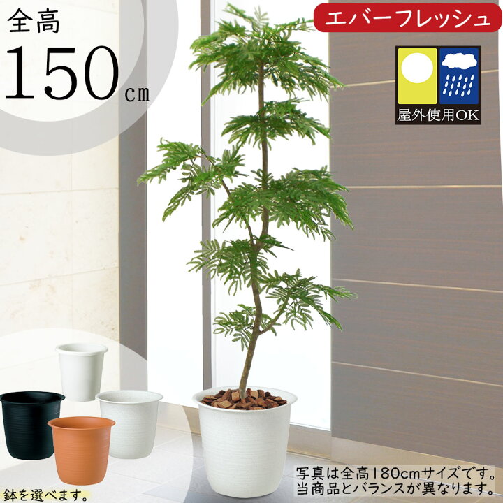 楽天市場】フェイクグリーン 屋外用 屋外対応 おしゃれ ネムノキ 