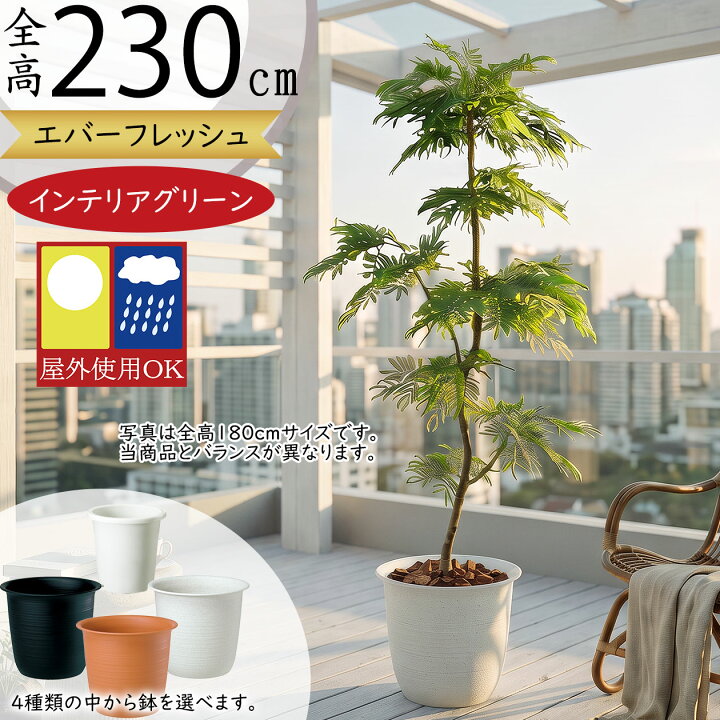 楽天市場】フェイクグリーン 屋外用 屋外対応 大型 おしゃれ ネムノキ 