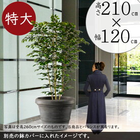 【フェイクグリーン】おしゃれ 観葉植物 特大 全高2.1m×幅1.2m 大型 ワイドロング ベンジャミン インテリアグリーン インテリア アートグリーン フィカス 造花 人工観葉植物 人気 おすすめ 高品質 リアル ナチュラル 室内 フロア オブジェ 新築祝い 引越し祝い 開店祝い