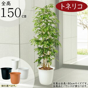フェイクグリーン 大型 おしゃれ 人気 リアル おすすめ トネリコ シマトネリコ インテリアグリーン 造花 人工観葉植物 人工樹木 鉢付き アートグリーン オブジェ 大きい 大きめ 室内 リビン