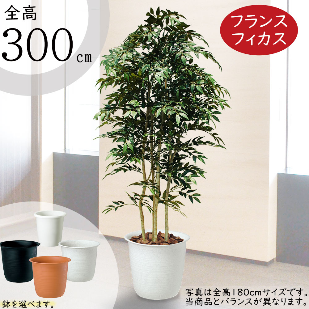 【楽天市場】【フェイクグリーン】おしゃれ 大型 観葉植物 全高3.0