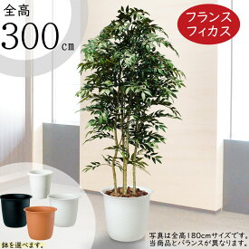 【フェイクグリーン】おしゃれ 観葉植物 大型 インテリアグリーン 全高300cm 特大 リアル 人気 おすすめ 造花 アートグリーン フランス フィカス ベンジャミン ベンジャミナ 人工観葉植物 人工樹木 自然木 高品質 オブジェ 鉢付き 新築祝い 引越し祝い 開店祝い 贈答 ギフト