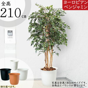 tFCNO[ ^  lC xW~ tBJX xW~i CeAO[ ϗtA lHϗtA  lH A[gO[ CeA IuWF  Mtg 