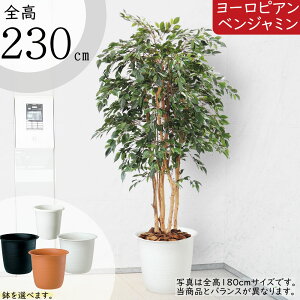 tFCNO[ ^  lC xW~ tBJX xW~i CeAO[ ϗtA lHϗtA  lH A[gO[ CeA IuWF  Mtg 