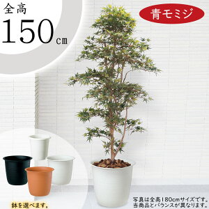 ݂ ~W tFCNO[ ^  lC A CeAO[ lHϗtA lH ϗtA  A[gO[ A[gvc CeA IuWF Ƌ  Mt