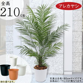 【フェイクグリーン】おしゃれ 観葉植物 大型 全高2.1m 特大 インテリアグリーン インテリア 造花 アートグリーン アレカヤシ ヤシ類 デラックス 人工観葉植物 人工 人気 おすすめ 高品質 リアル 室内 フロア オブジェ 鉢付き 新築祝い 引越し祝い ギフト トロピカル 贈答