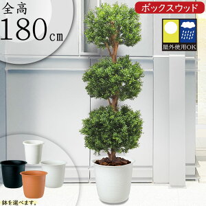 tFCNO[ Op ^  A lC  CeAO[ {bNXEbh gsA[  lHϗt   CeA 傫 傫 { t ϗt