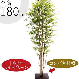 【フェイクグリーン】大型 おしゃれ 観葉植物 インテリアグリーン 全高1.8m トネリコ シマトネリコ 大きい 人工観葉植物 人工植物 造花 人工樹木 アートグリーン インテリア リアル 人気 おすすめ オブジェ 開店祝い 店舗 お祝い 室内 屋内 イベント ディスプレイ 法人様専用