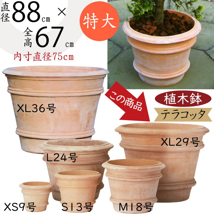 楽天市場】テラコッタ 植木鉢 大型 おしゃれ 人気 プランター おすすめ 