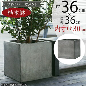 Aؔ ^ lC v^[ | ϗt |bg  Jo[ |pi K[fjO  CeA O[ DF lp {bNX 傫 傫  eX oRj[ ړIXy[X V